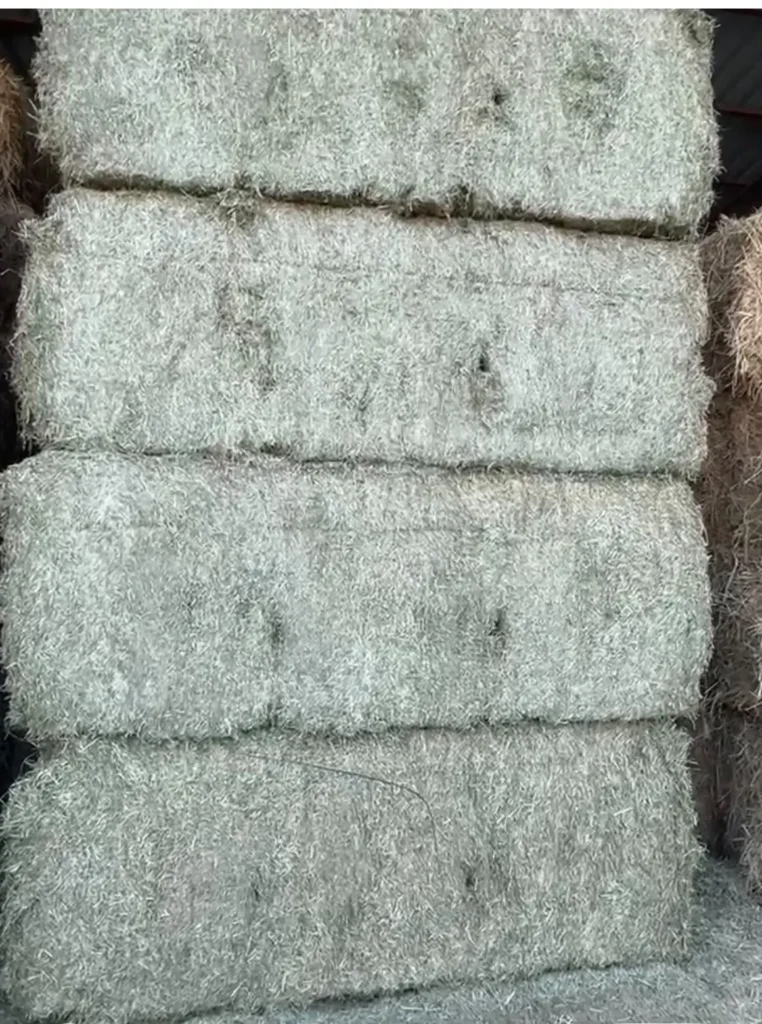 Bermuda Grass Hay