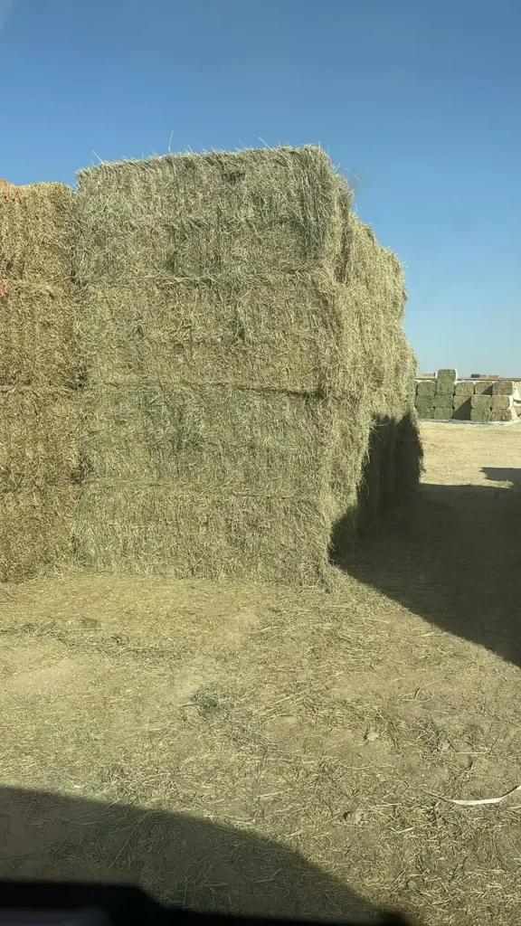Animal Feed delivery