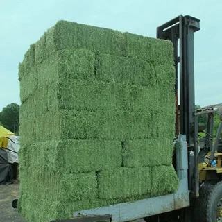 animal feed delivery